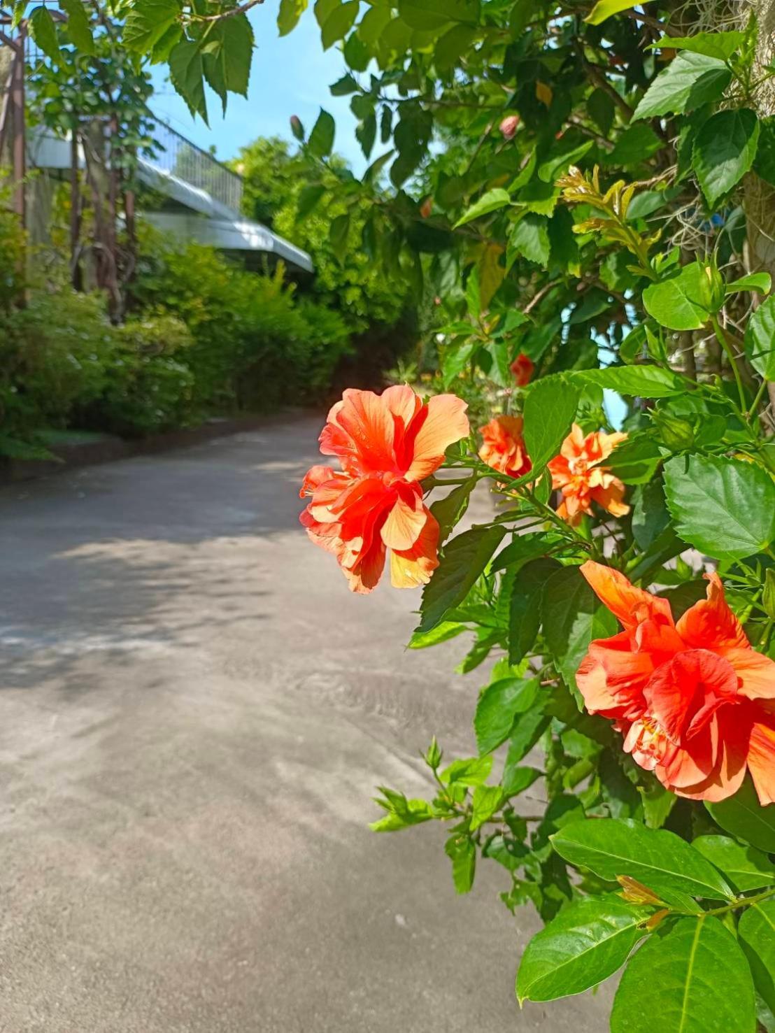 Phannarai House Lamai Beach (Koh Samui) Exterior foto