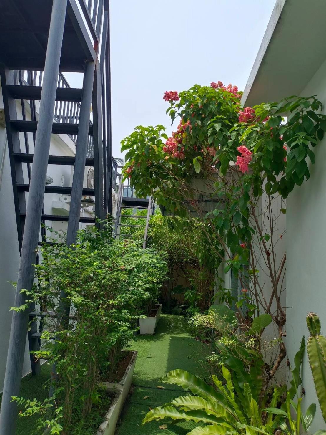 Phannarai House Lamai Beach (Koh Samui) Exterior foto