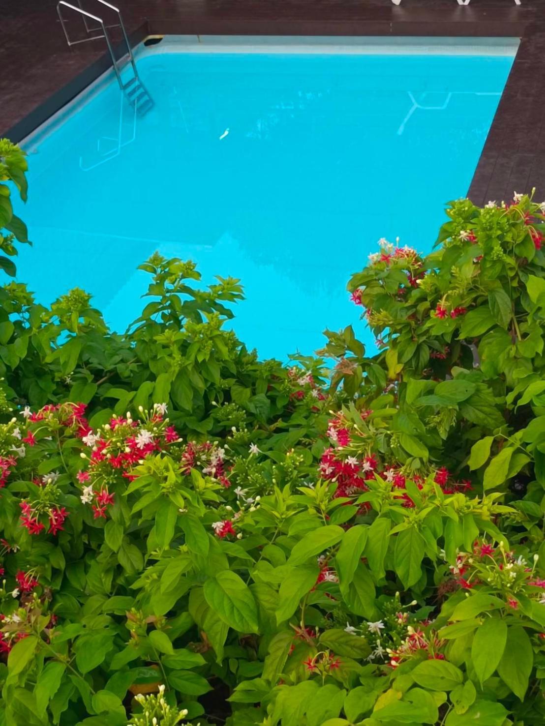Phannarai House Lamai Beach (Koh Samui) Exterior foto
