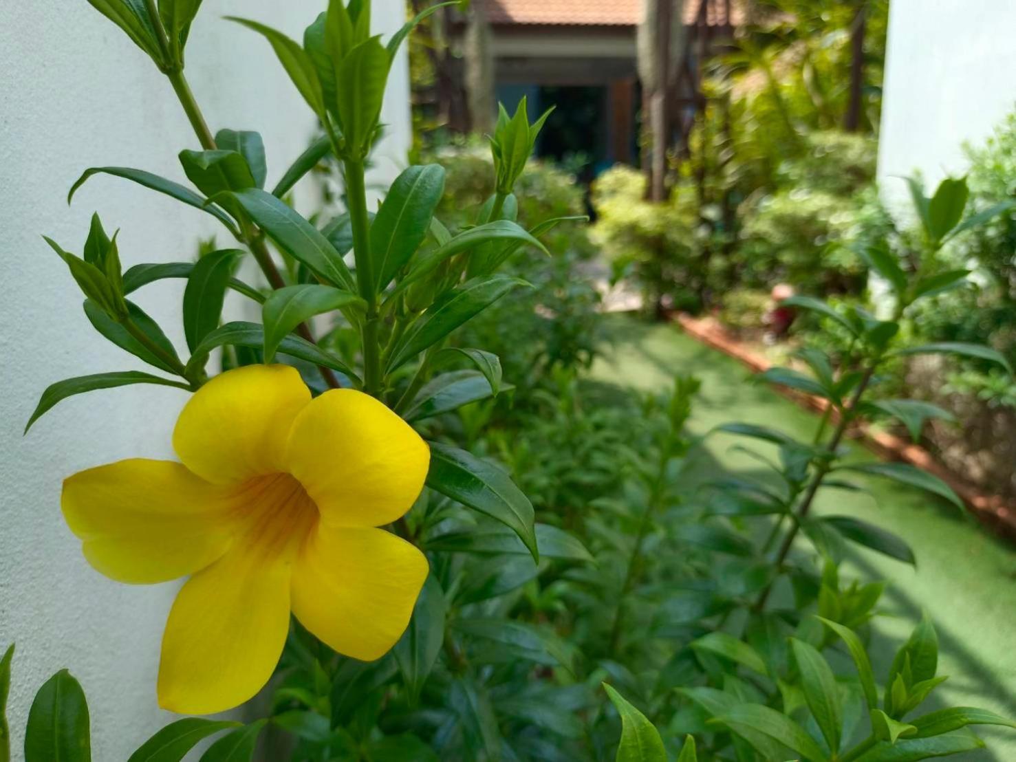 Phannarai House Lamai Beach (Koh Samui) Exterior foto